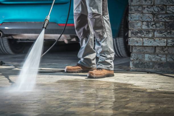 Best Driveway Cleaning and Restoration in Swisher, IA