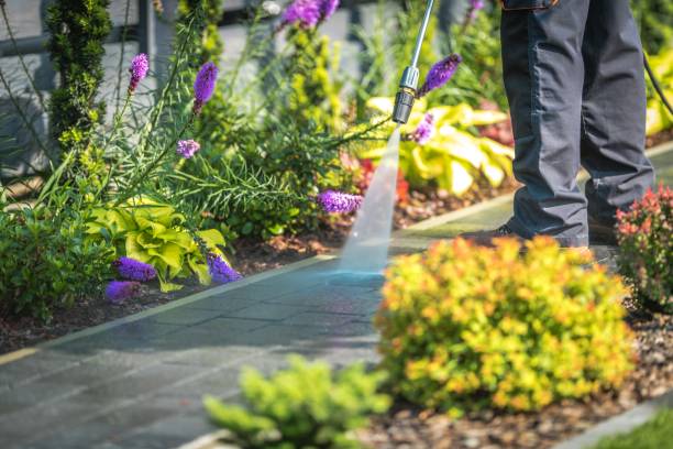 Best Commercial Pressure Washing in Swisher, IA